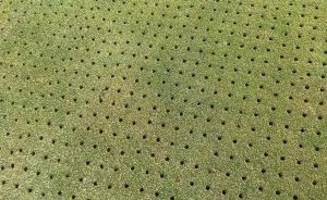 CAROTTAGE - Open Golf Club